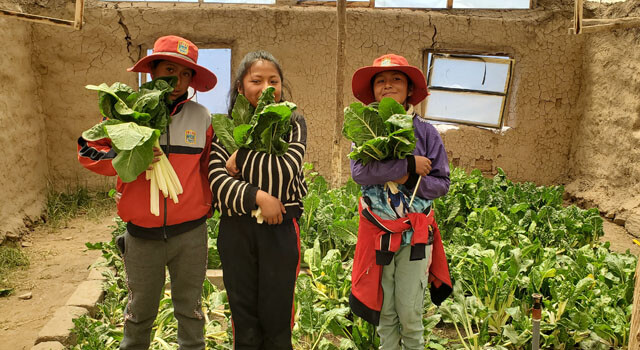 PERU POZO7.jpg